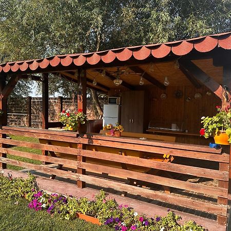Casa Carp Calarasi Hotell Eksteriør bilde