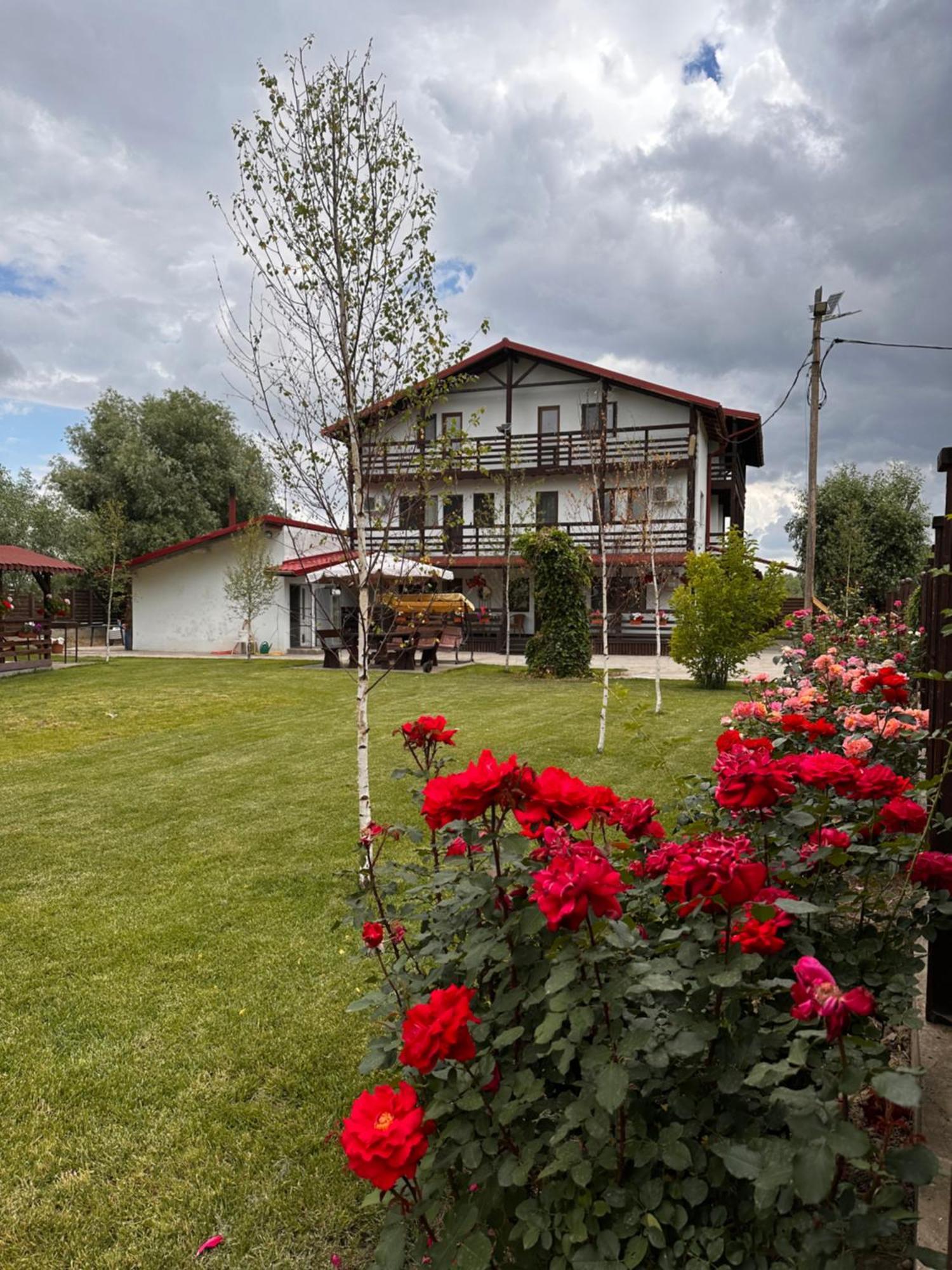 Casa Carp Calarasi Hotell Eksteriør bilde
